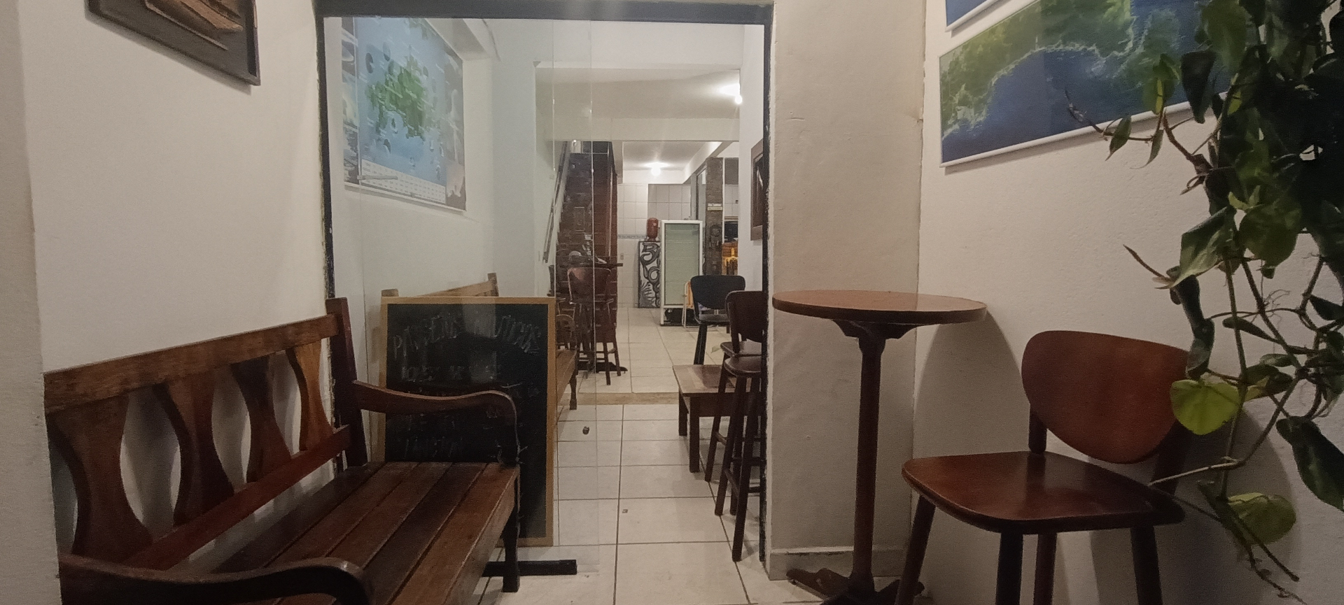 Vida marinha em Ilha Grande